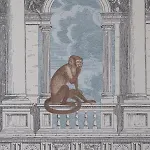 Ca' Della Scimmia - Rialto - 公寓 威尼斯