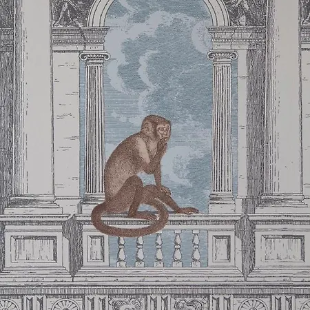 Ca' Della Scimmia - Rialto - Lägenhet Venedig