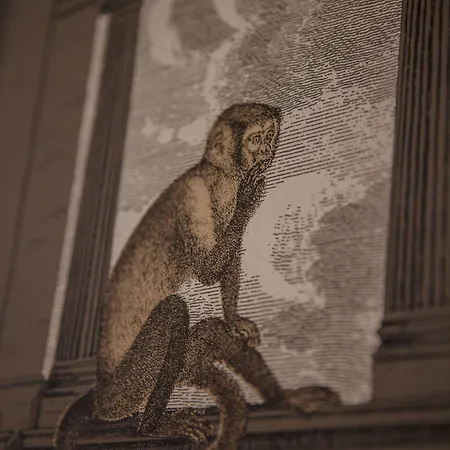 Ca' Della Scimmia - Rialto - Apartmán